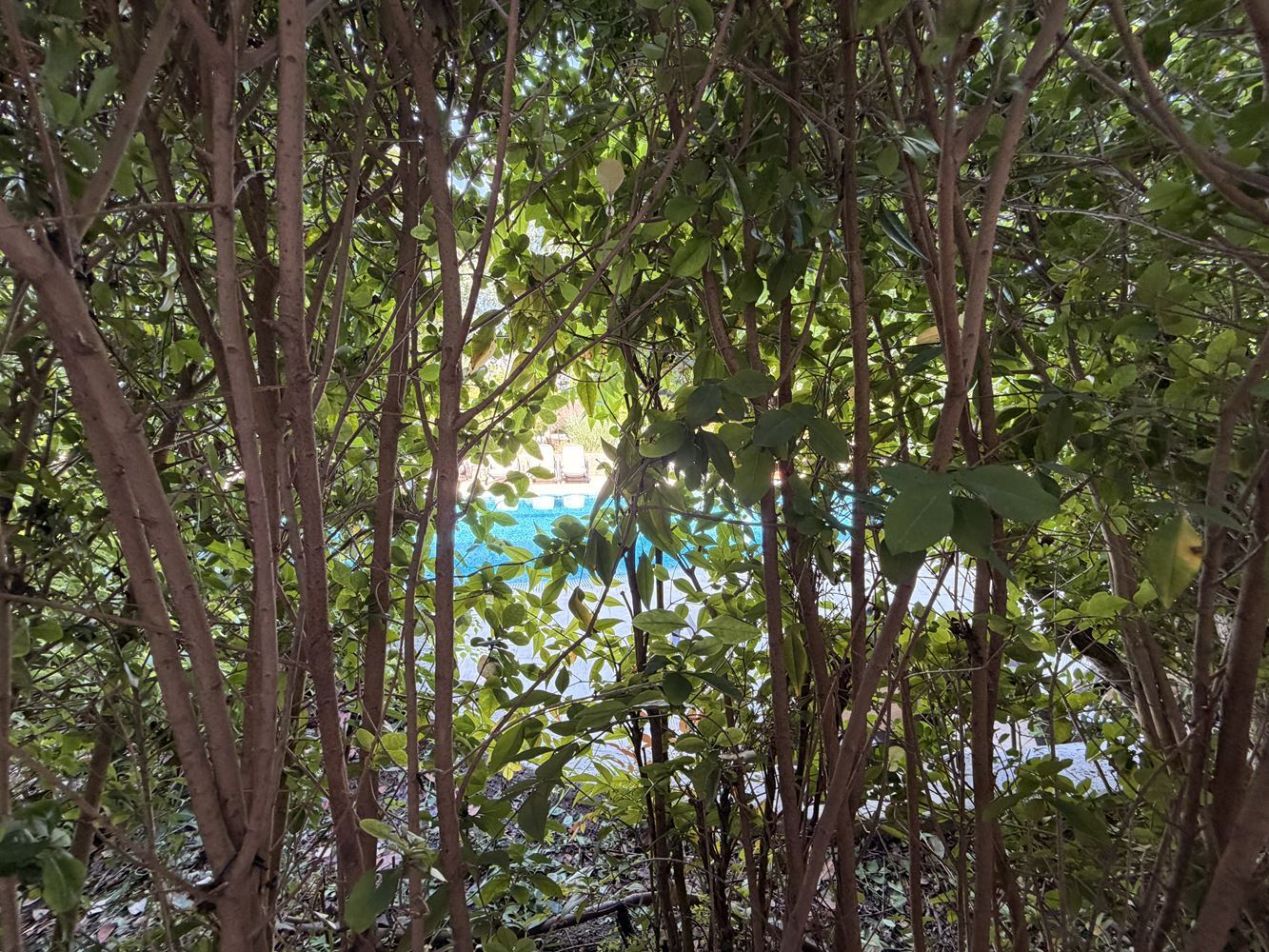 2-Zimmer-Wohnung mit Blick auf den Park und den Swimmingpool in einer prestigeträchtigen Wohnanlage am Sonnenstrand