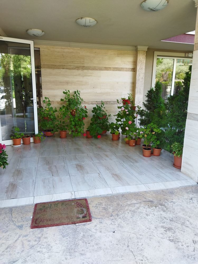 2-Zimmer-Wohnung mit eigenem Garten in Sonnenstrand – Ihre grüne Oase am Meer